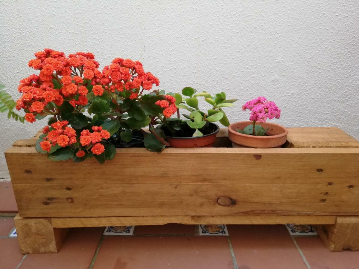 Apartamentos Coralba - Duplex Bahia De Cadiz San Fernando Ngoại thất bức ảnh